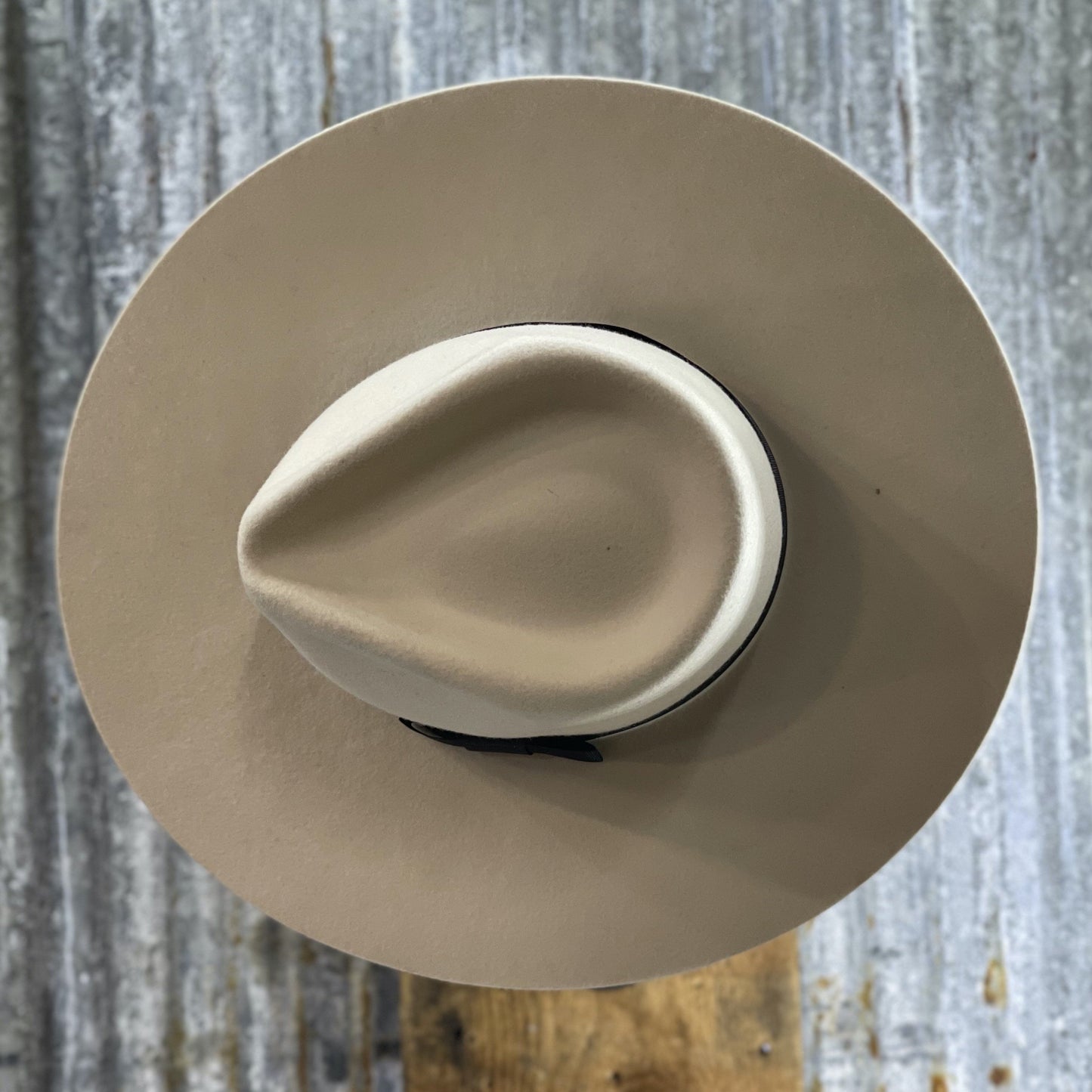 Fedora | White