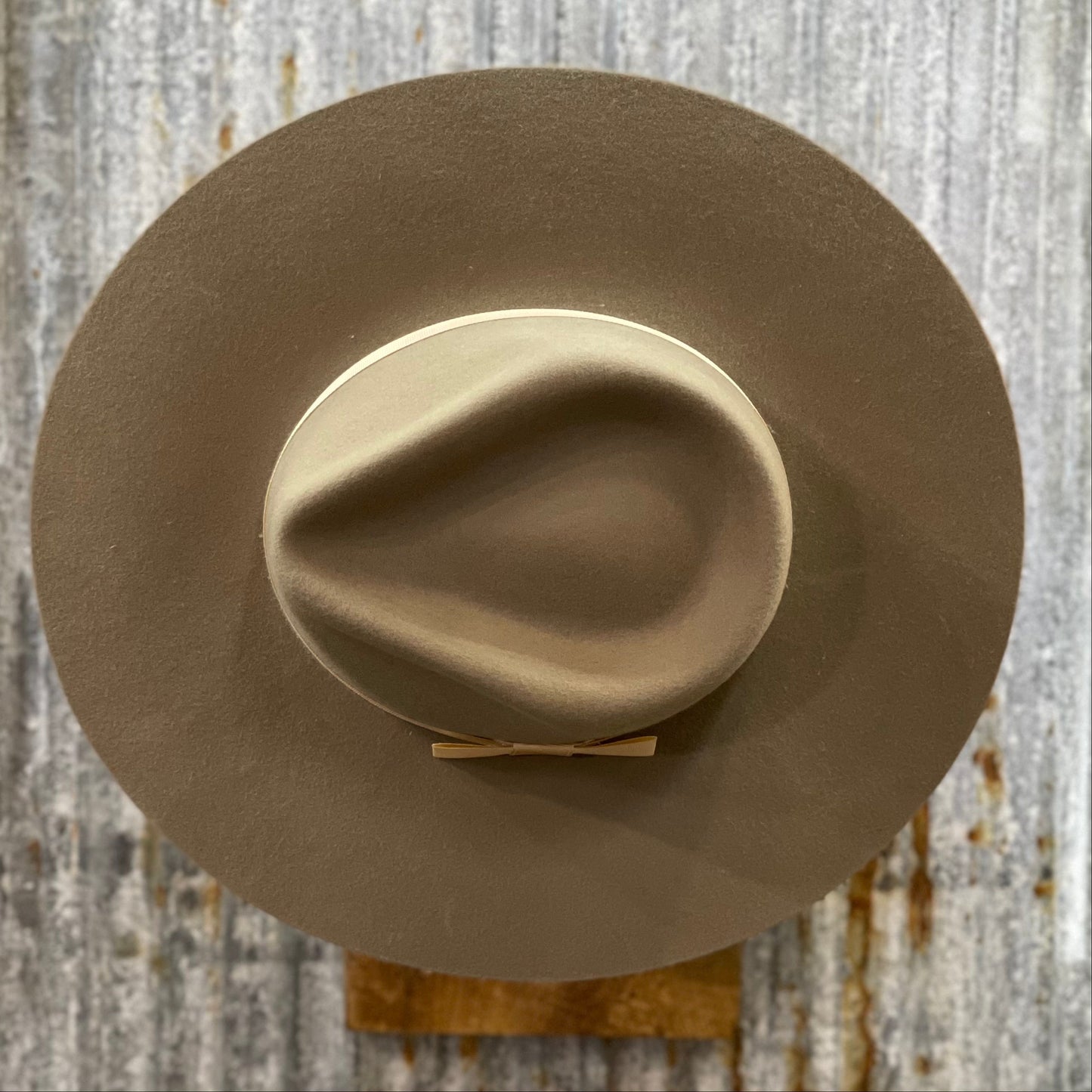 Fedora | Mushroom