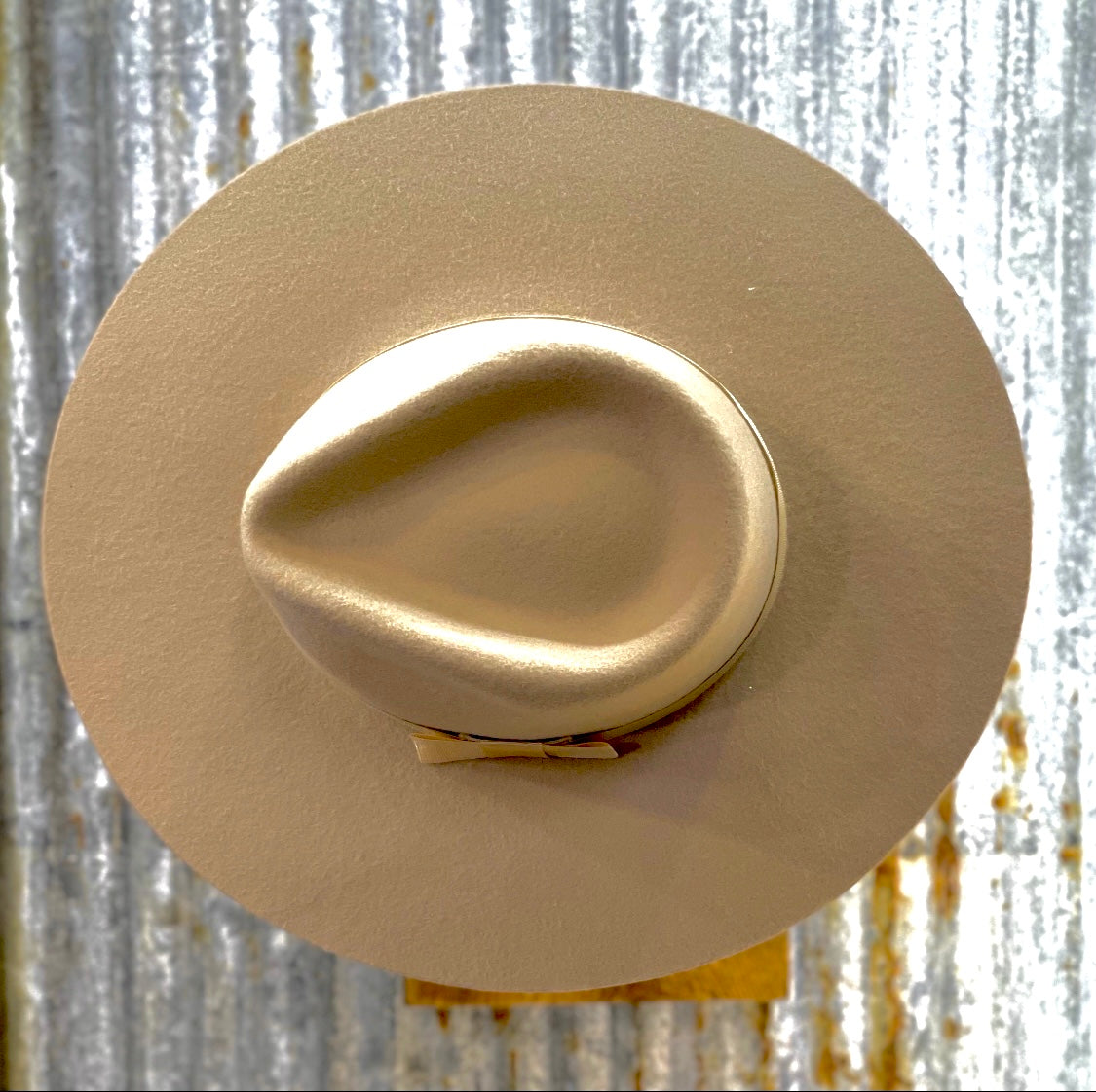Fedora | Silverbelly
